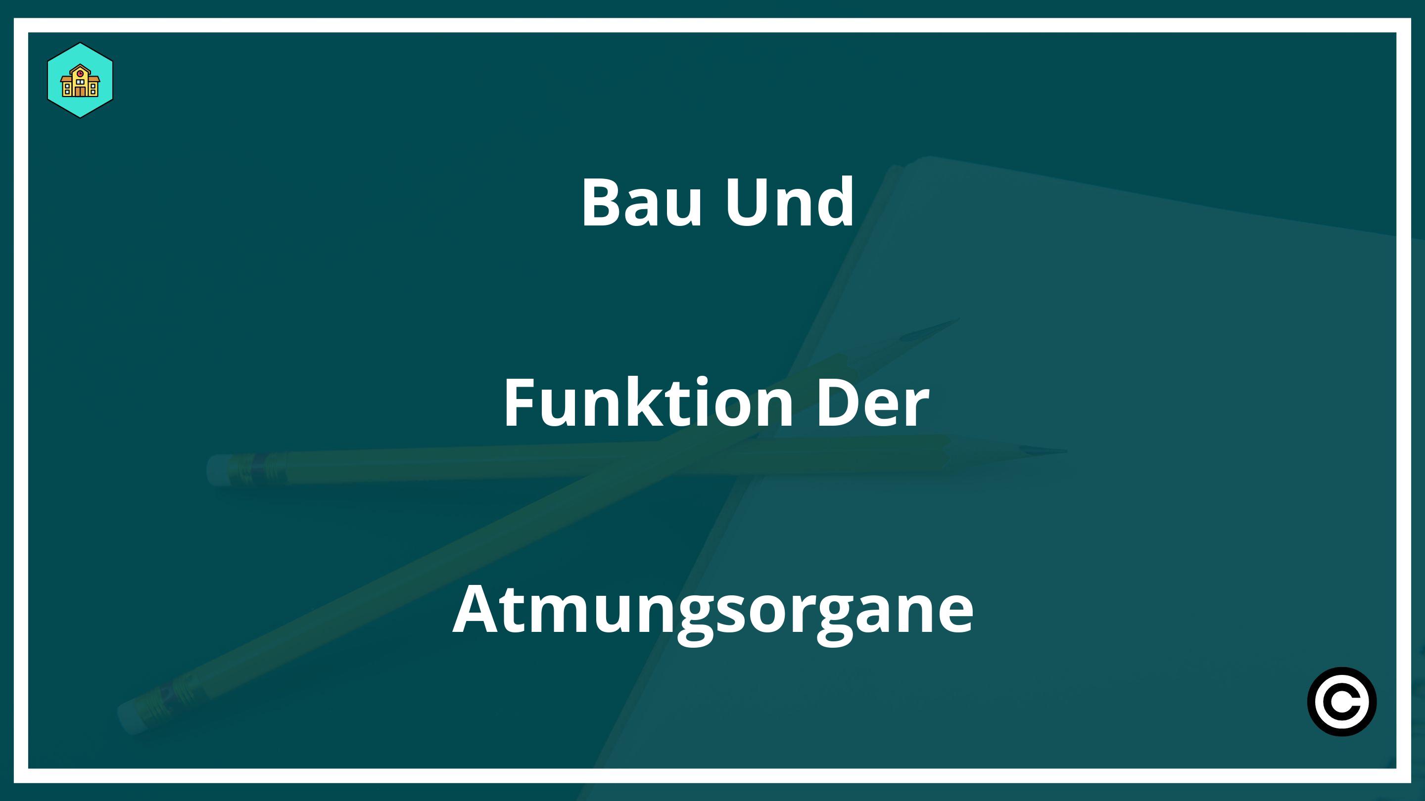 Bau Und Funktion Der Atmungsorgane PDF