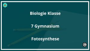 Biologie Klasse 7 Gymnasium Fotosynthese