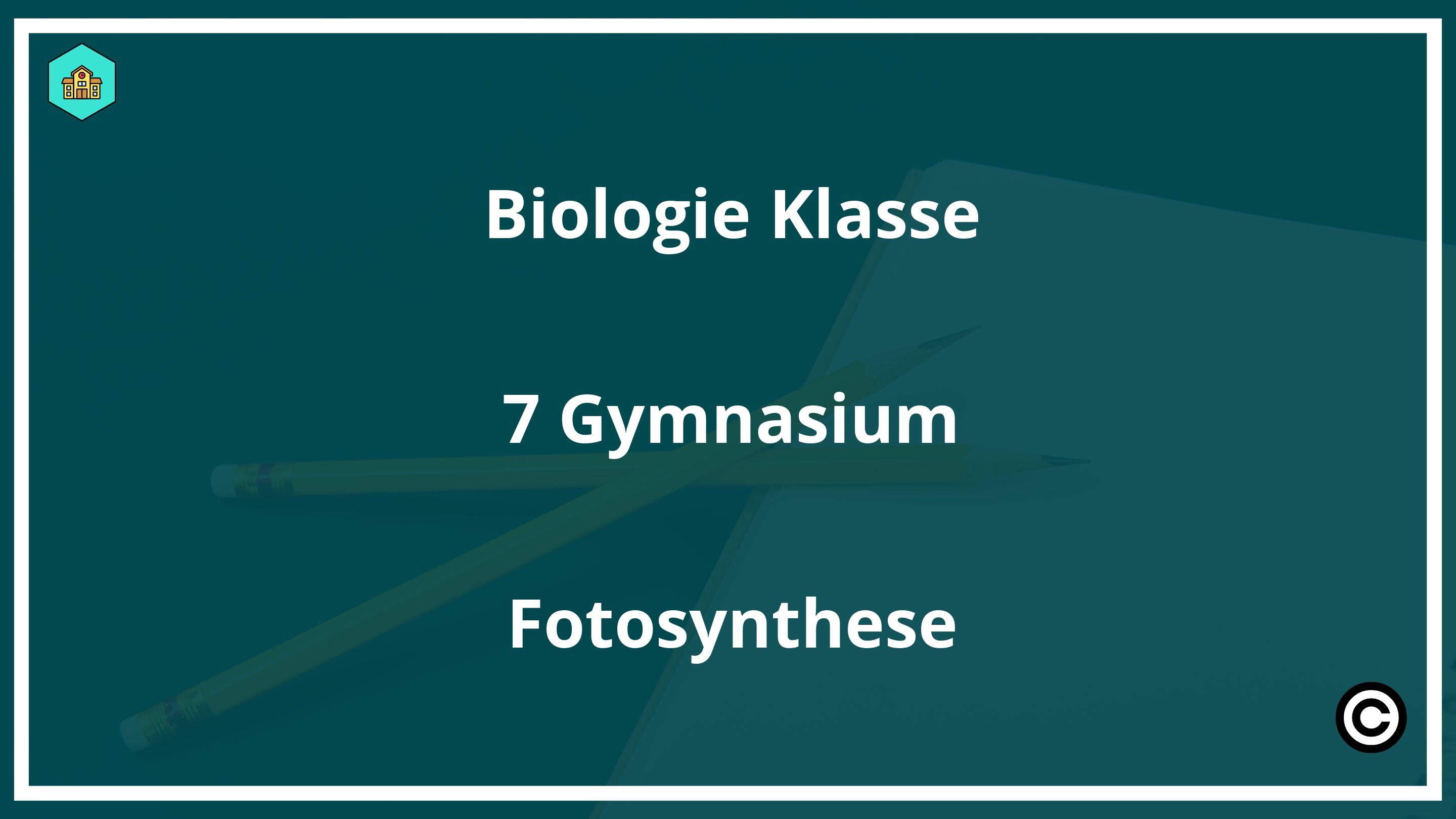 Biologie Klasse 7 Gymnasium Fotosynthese PDF