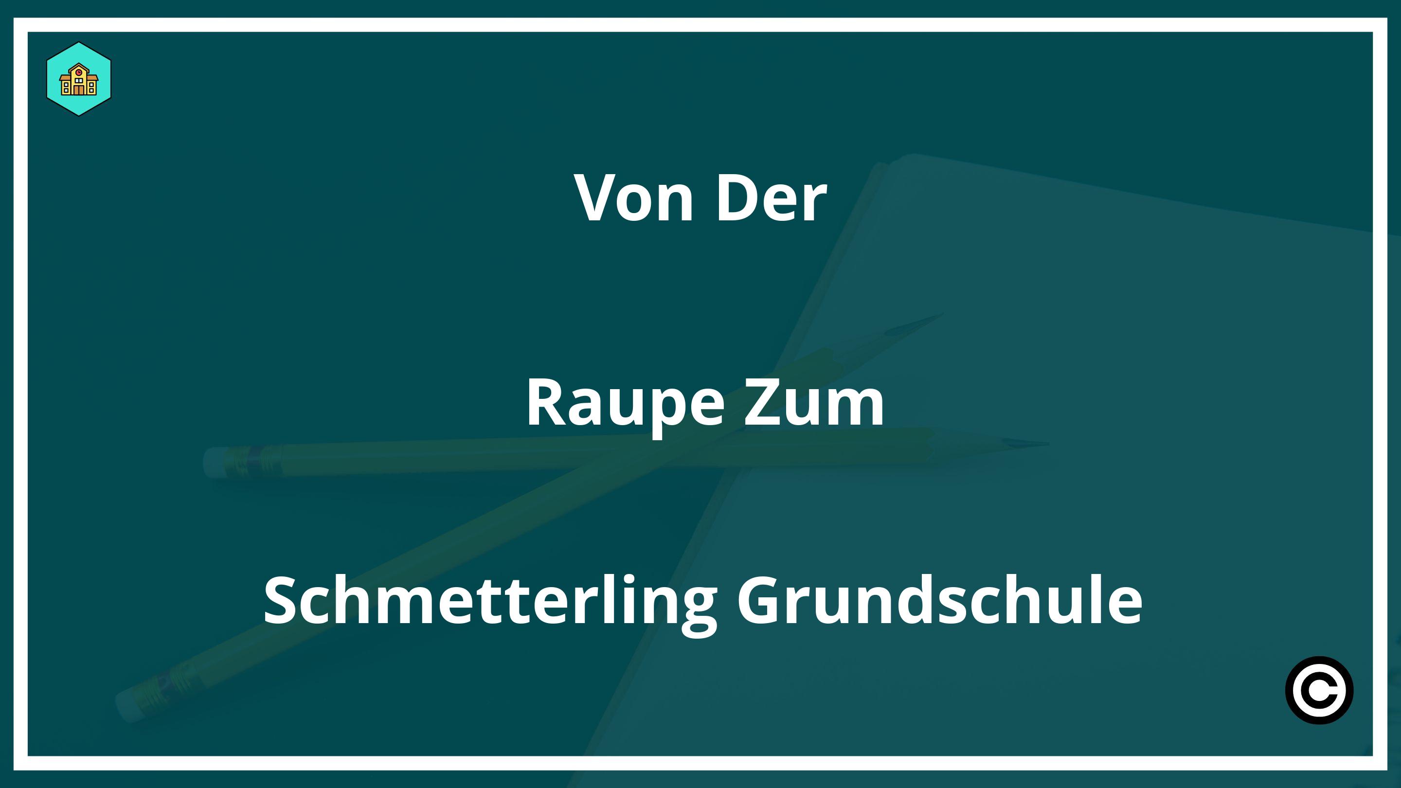 Von Der Raupe Zum Schmetterling Grundschule PDF